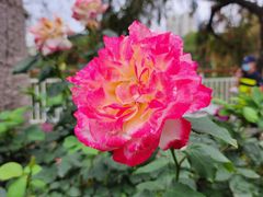 -人民公园(罗湖区)