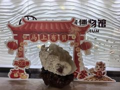 -青岛贝壳博物馆
