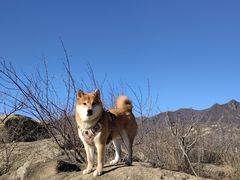 -白水寺森林公园