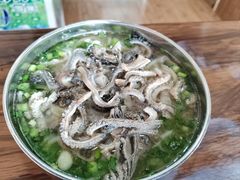 -攀枝花·任德琼·盐边羊肉米线