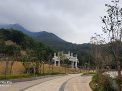 -梧桐山风景名胜区