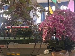 -北京汉斯特自助烤肉(临朐店)