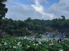 -广州莲花山旅游区