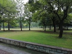 -洛阳市隋唐城遗址植物园