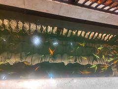 -龙悦湾酒家·八阵鱼生·渔人码头店