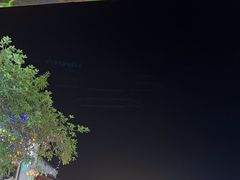 -谢三姐金奖啤酒鱼(总店)