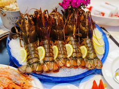 -半岛听涛蒸汽海鲜自助(K11店)