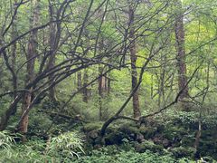-峨眉山风景名胜区