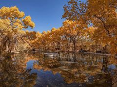 -党河风情线国家水利风景区