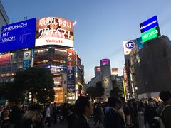 -涩谷区