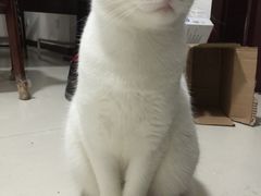 -阿昌烘焙