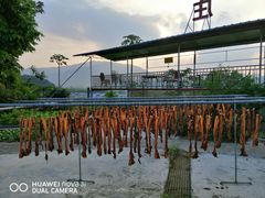 68-石兴农家菜馆