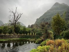 -靖西鹅泉风景区