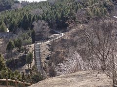 -白水寺森林公园