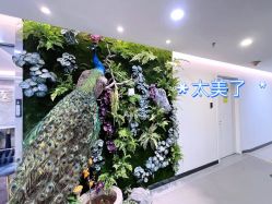 -北京炫美医疗美容