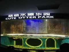 -成都浩海立方海洋公园