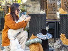 -喵屿·大理花园猫咖