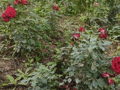 -汉长安城未央宫国家考古遗址公园