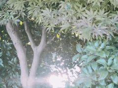 -浙江农林大学(东湖校区)