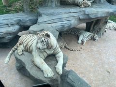 -北京野生动物园