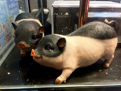 -盒马鲜生(悦峰店)