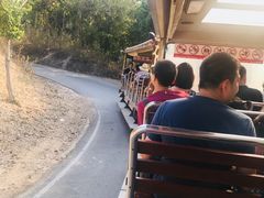 -清迈夜间动物园