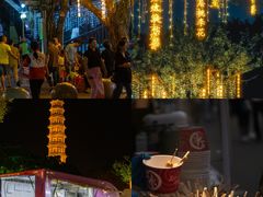 -广州莲花山旅游区