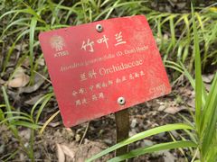 -中国科学院西双版纳热带植物园