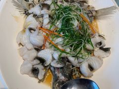 桂花鱼-松雅轩(大源店)