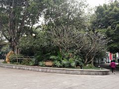 -晓港公园