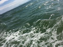 -玫瑰海岸文化旅游度假区
