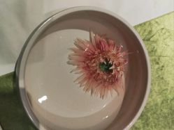 -梵隐SPA