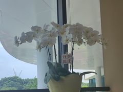 -月龍吟(朝龙汇店)
