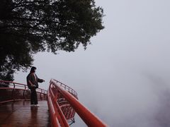 -少华山国家森林公园