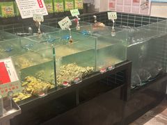 -黄山老妈·土菜(碧桂园店)