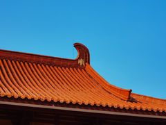 -三水森林公园