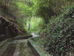 -宜兴张公洞