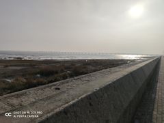 -南汇嘴观海公园