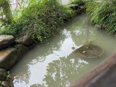 -灵栖洞天