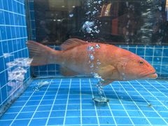 -海味世家·家常菜馆(明州里店)