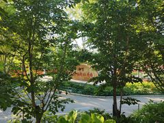 -太阳宫公园