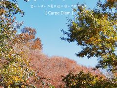 -老象峰