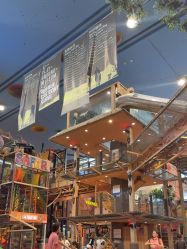 -卡通尼·Safari非洲探索乐园·生日会(金桥国际商业广场店)