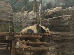 -鄂尔多斯野生动物园