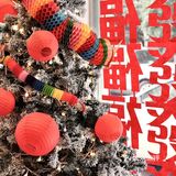 财神上大分!!!金华这家氛围拉满......