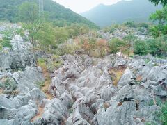 -千岛湖石林