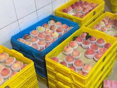 -老袁家蜜桃农场·阳山水蜜桃