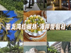 -三亚亚龙湾红树林度假酒店