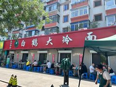 -白鹤大冷面