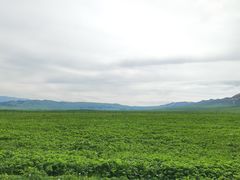 -新疆那拉提国家旅游度假区